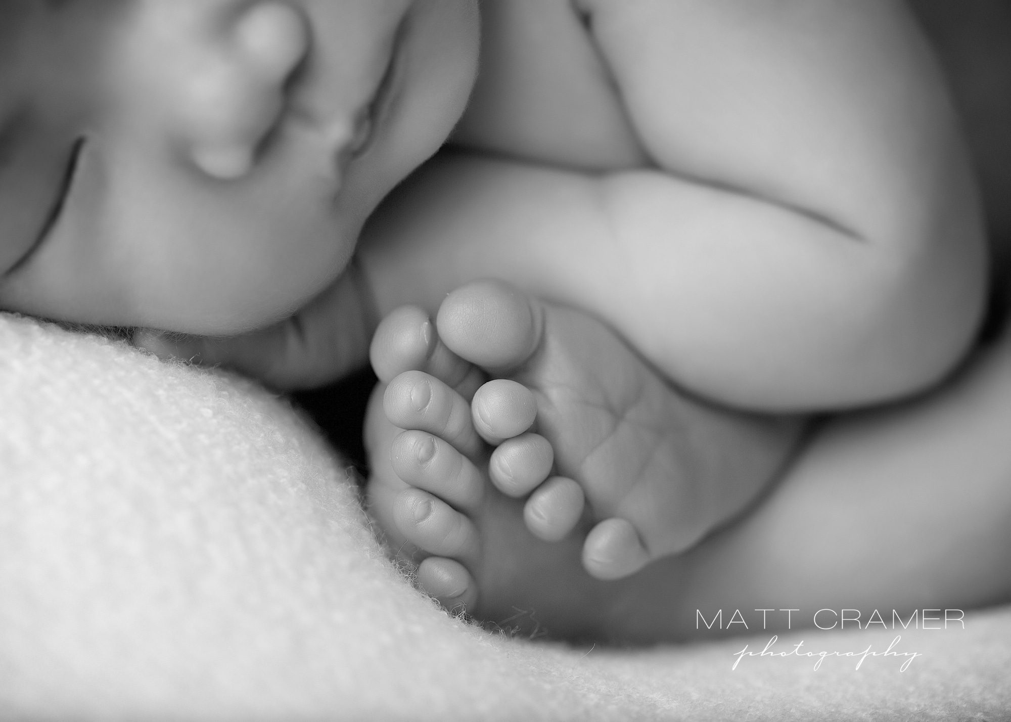 Newborn Photography Pasadena