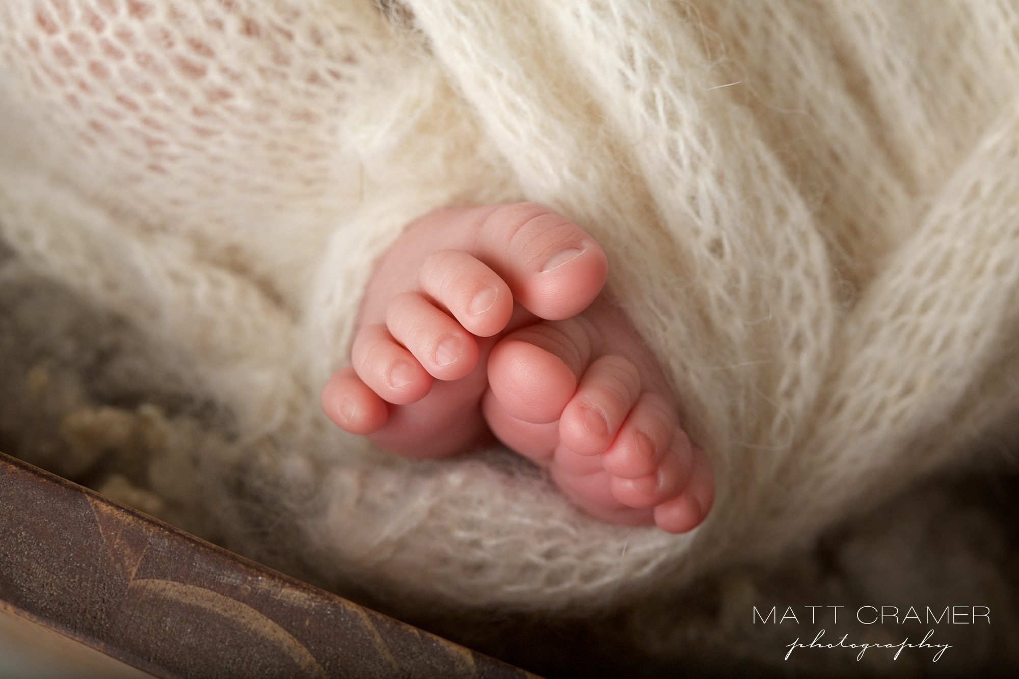 Baby Girl Photo Session Los Angeles