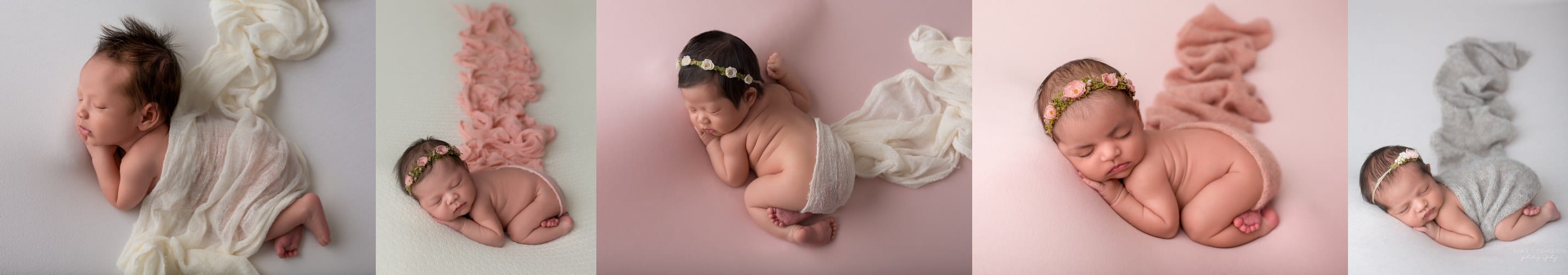 newborn photography business plan