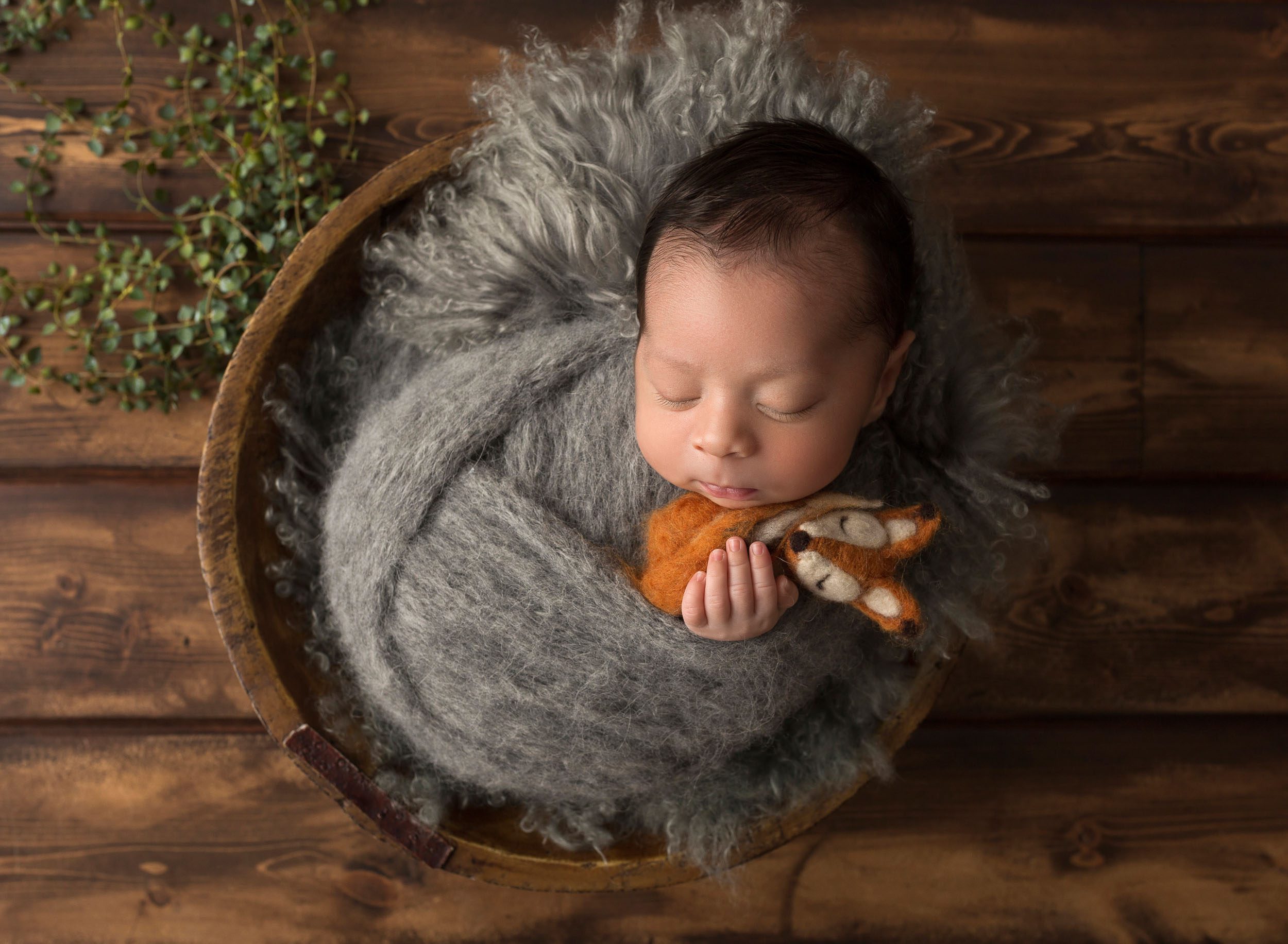 baby boy in dark grey swaddle holding little fox