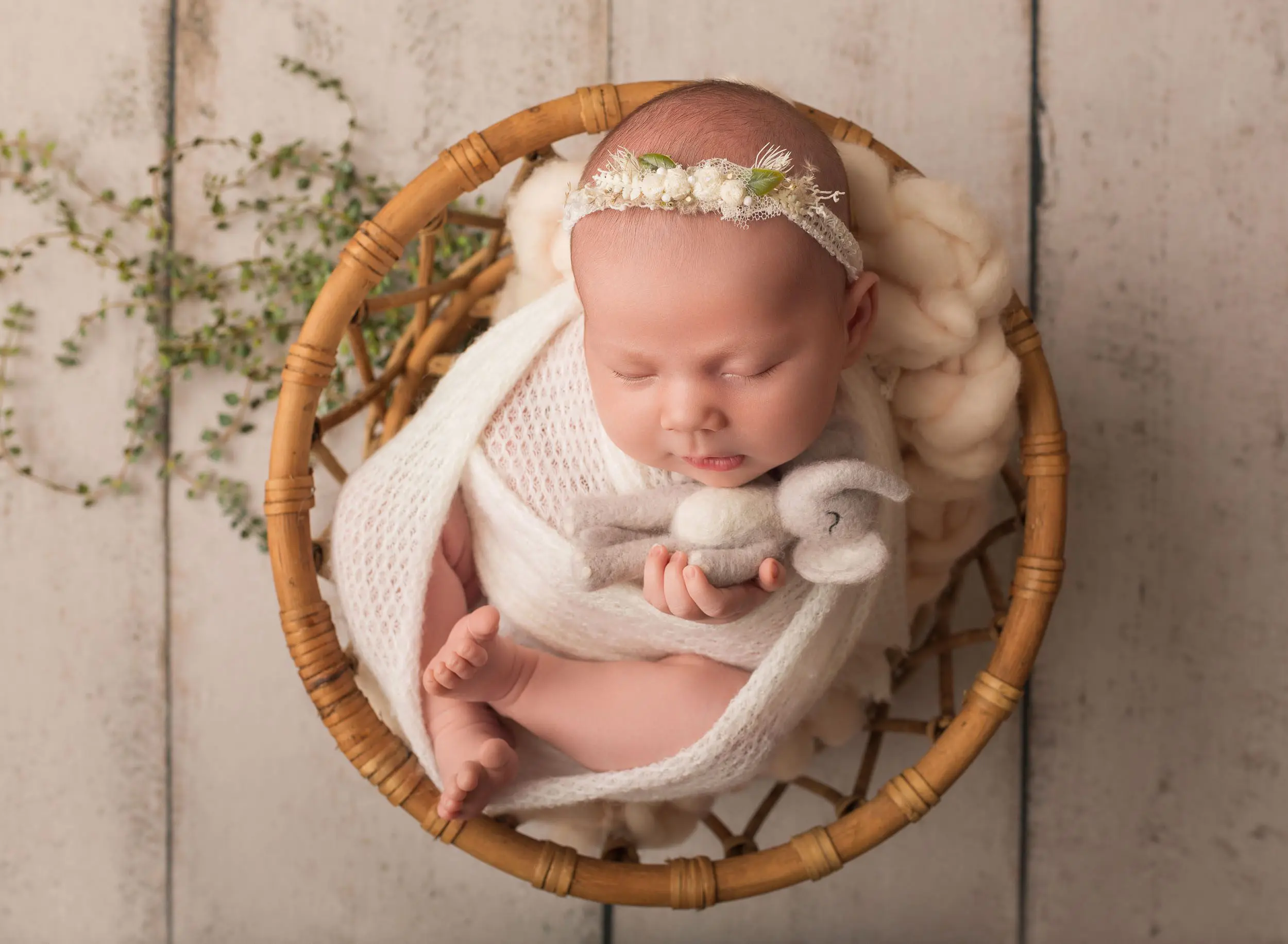 newborn baby wrapped in white snuggling elephant toy in basket